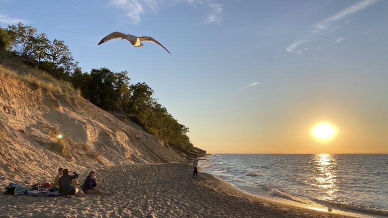 A group of people sit on the beach at Central Avenue Beach with a bird flying overhead