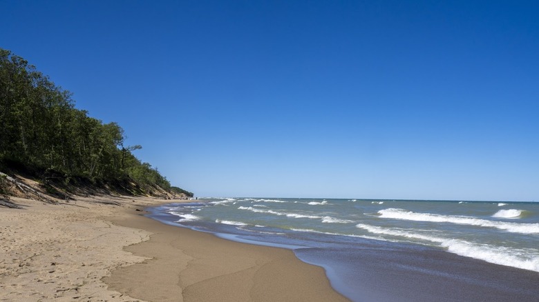 A view of water, trees, and sand at Central Ave Beach