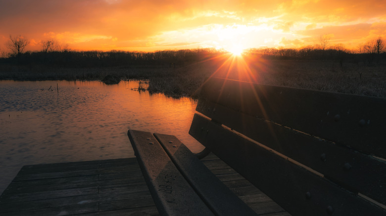 A park bench next to a lake at sunset, Moraine Hills State Park, Illinois