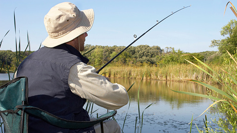 A man fishes along a marshy shore
