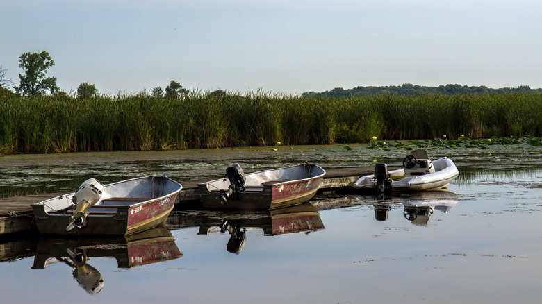 Motorized fishing boats on Chain O'Lakes in Chain O'Lakes State Park, Illinois
