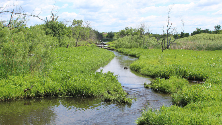 Brewster Creek at James 