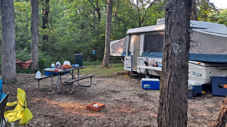 Camper, picnic table, and hammock in forested campsite at Kankakee River State Park