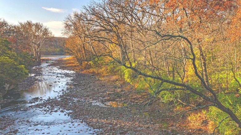 river flowing through forest with fall foliage at Kankakee River State Park, Illinois