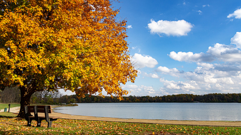 Worster Lake at Potato Creek State Park