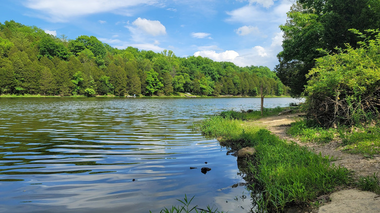 Shoreline view of Kincaid Lake State Park, with calm water, a dirt path, and dense green forest under a bright sky