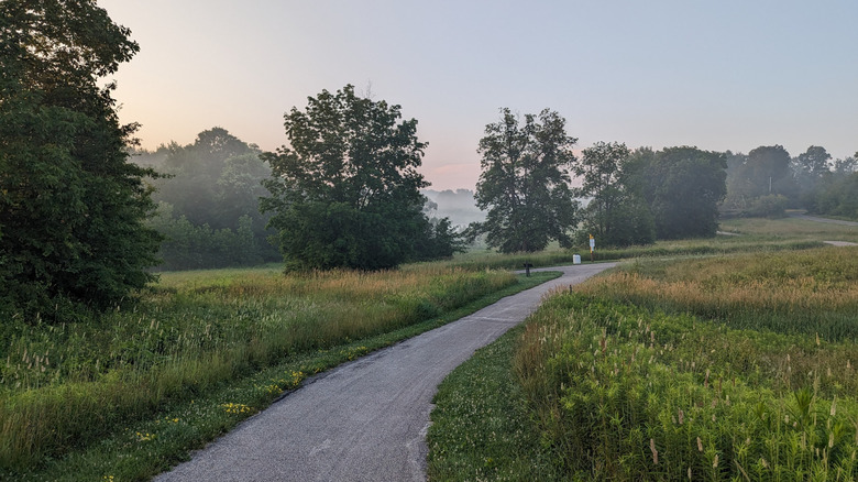 Walking paths in Bath Nature Preserve near Richfield, Ohio
