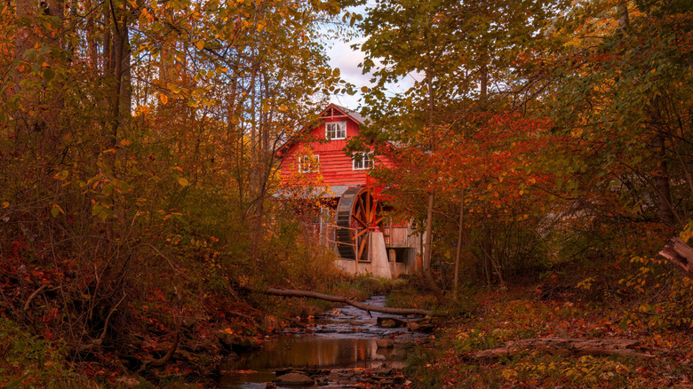 Forest and historic building in Richfield Heritage Park in Richfield, Ohio
