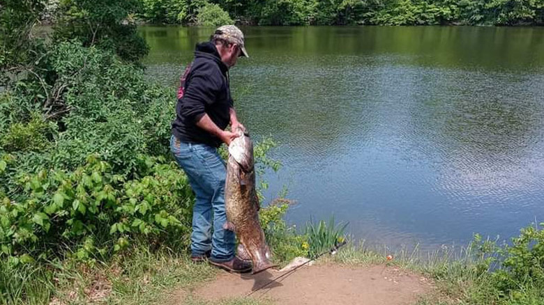 Man in jeans and a black sweatshirt holding a large white and brown fish, next to a lake surrounded by trees