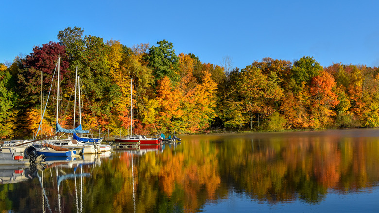 Boats docked along shore on Clear Fork Reservoir