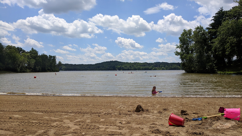 The shoreline of Charles Mill Lake, Ohio, with people in the water in the background