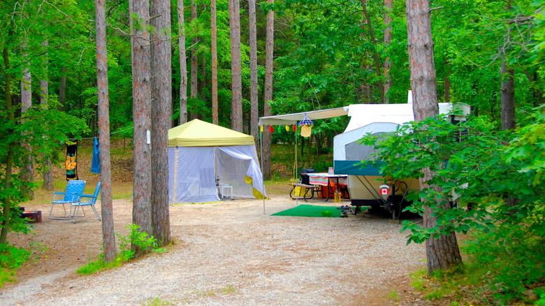 A campsite near Mio, with a camper, bug tent around chairs, a picnic table, and the bright green forest all around