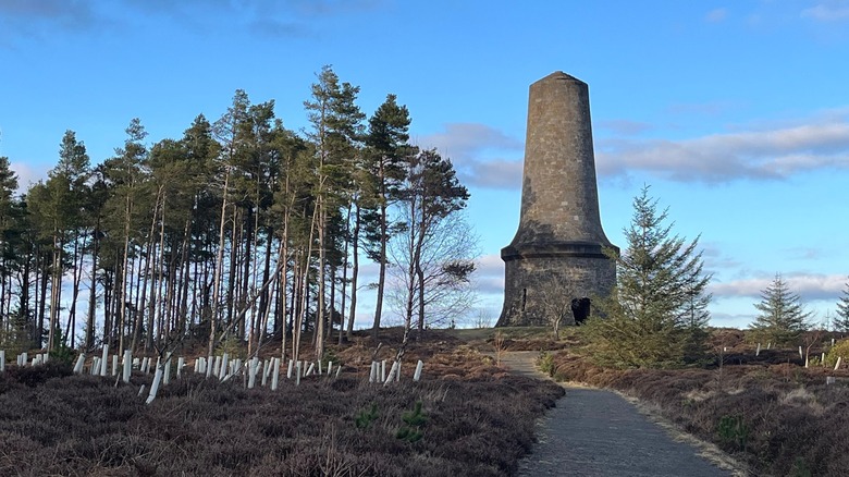 The stone Tyndall Bruce Monument tower on a wooded hill in Lomond Hills