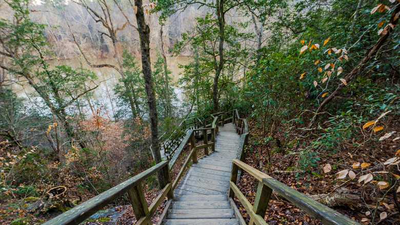 A wooden walkway in Raven Rock State Park