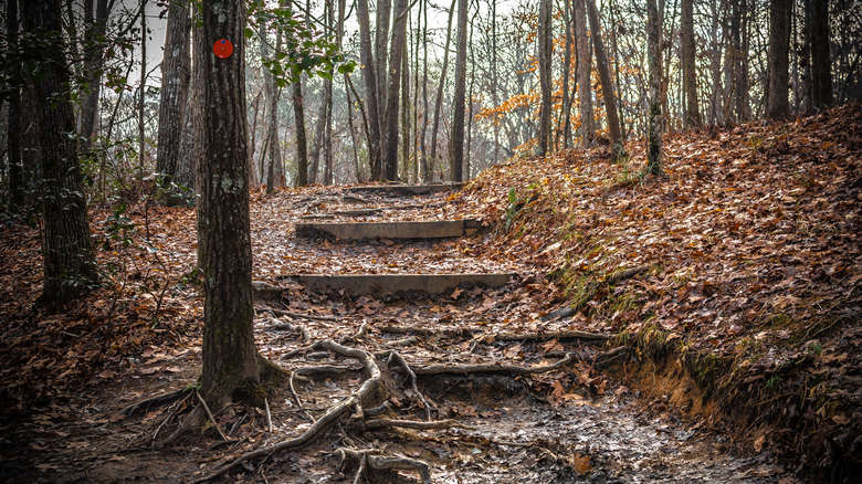 Raven Rock Trail in Raven Rock State Park