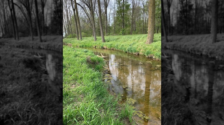 Maxton Park in Butler, Indiana