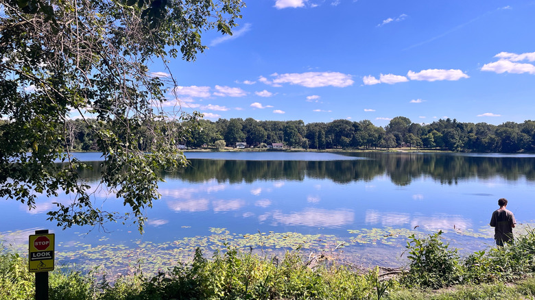 Person fishing along the shoreline of a lake