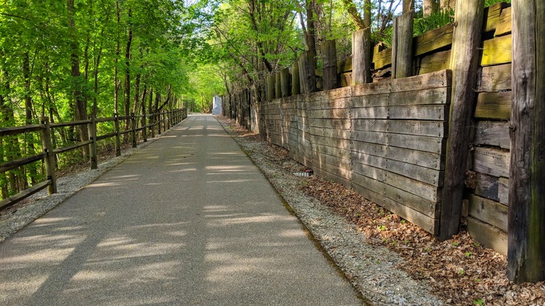 Paved Cardinal Greenway path shaded by trees running through Jonesboro Indiana
