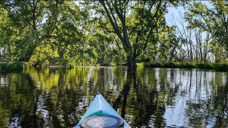 A kayaker paddling on a quiet river surrounded by trees at Killsnake State Wildlife Area in Wisconsin