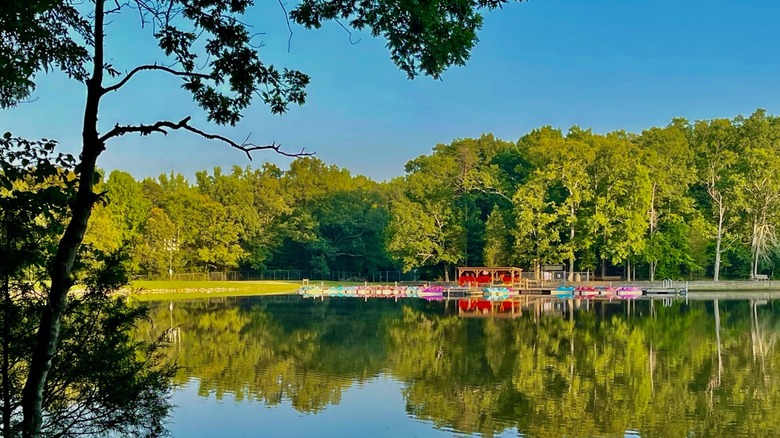 Colorful rental paddle boats at Lake Murtis' dock.