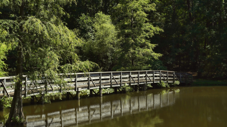 A wooden bridge crosses the fishing lake at Dan Nicholas Park in North Carolina.