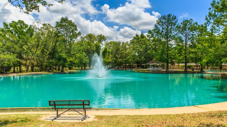 Duck pond at Riverside Park