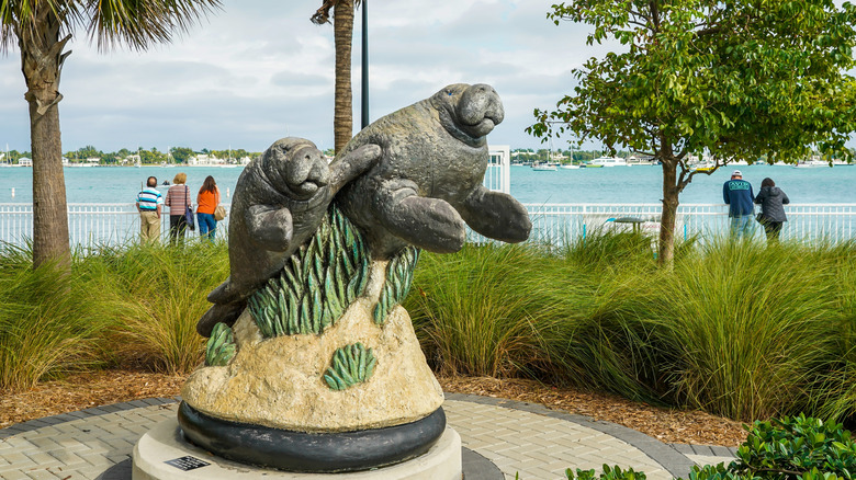 A manatee statue on the edge of the Lake Worth Lagoon