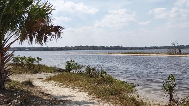 Tomoka State Park in Ormond Beach, Florida