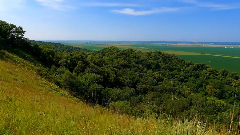Forest and fields from a ridgeline trail at Waubonsie State Park