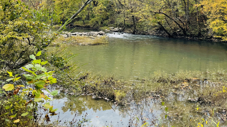 River flowing through Catoosa Wilderness Management Area