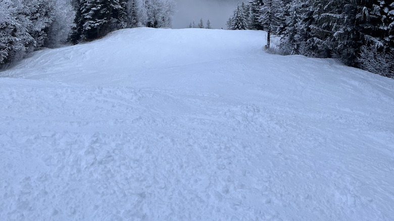 A ski run flanked by snow-covered trees at SilverStar Mountan Resort