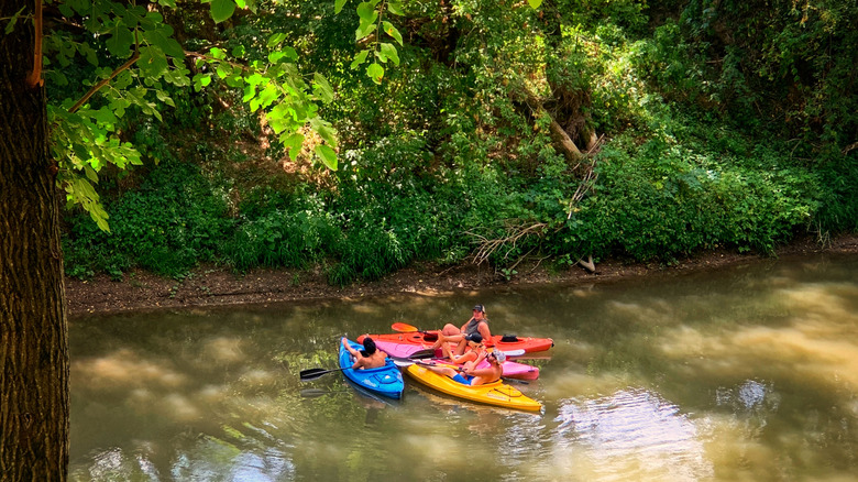 Kayakers on a river in Iowa
