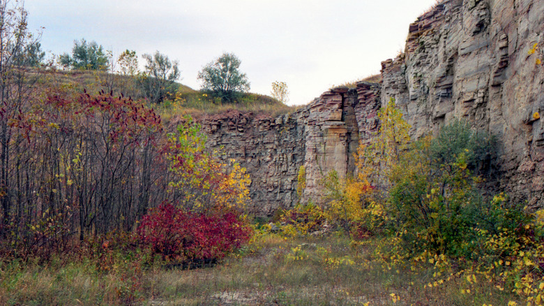 Trees in fall colors near the Oakfield Ledge