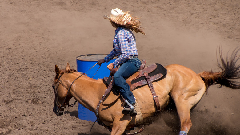 A cowgirl riding a horse around a steel barrel at the rodeo