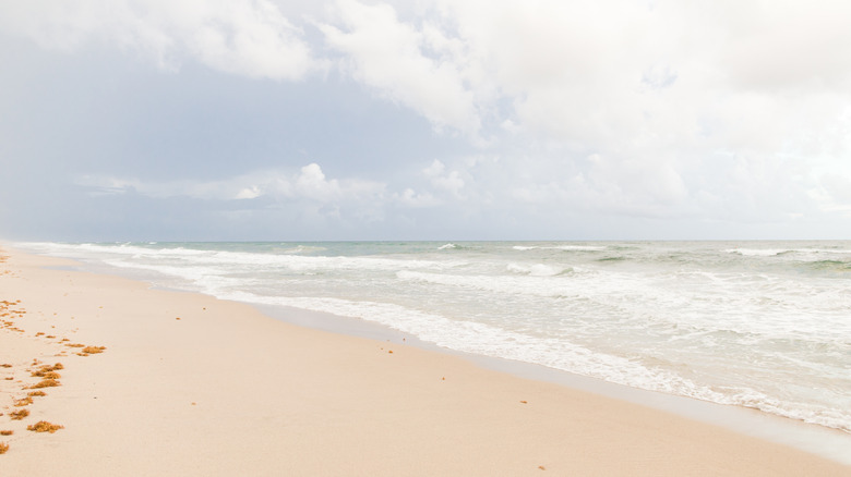 View of the beach at Manalapan Florida