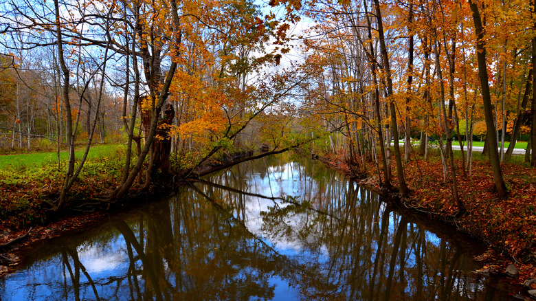A scenic view of the Pike River in Petrifying Springs Park