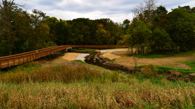 A raised biking and walking path through forests and prairies in Somers, Wisconsin