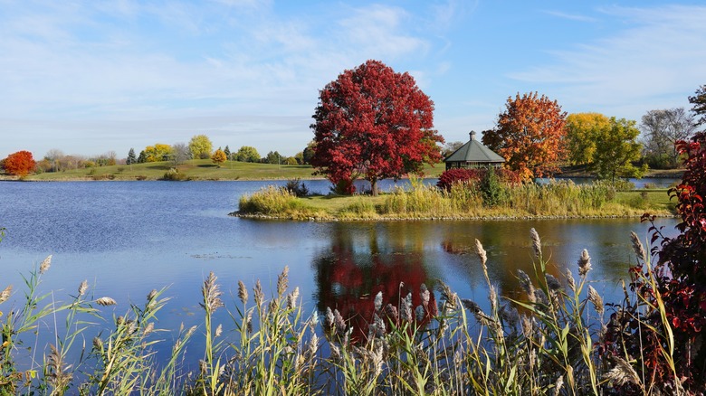 a small island on Little Bear lake