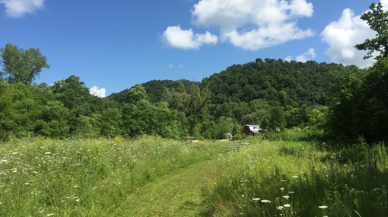 Field and a barn in Jefferson, Wisconsin