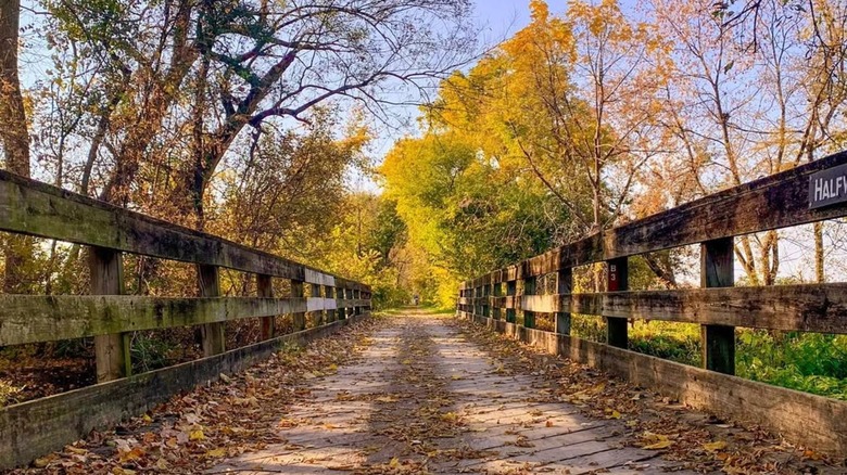 Halfway Creek Trail surrounded by fall foliage