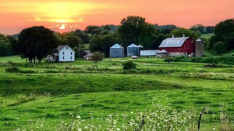 Farm buildings and red barn on grassy land at sunset near Holmen, Wisconsin