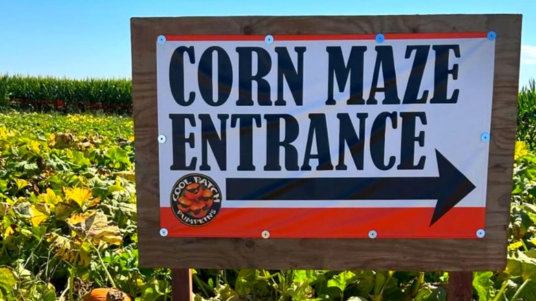 Corn maze entrance sign at Cool Patch Pumpkins