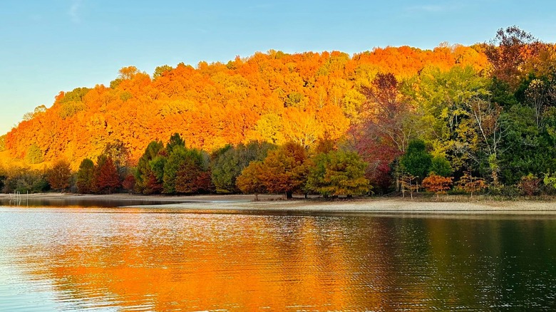Orange trees in fall across Normandy Lake, Tennessee