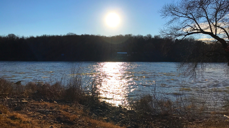 Sun gleaming off the water at Cheatham Lake in Tennessee