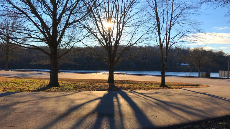 Trees and a pathway at Cheatham Lake, Tennessee