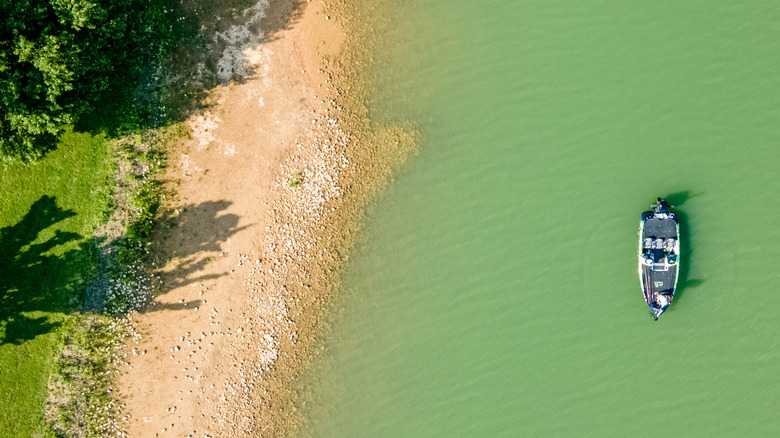 Bass fisherman on boat near the shore