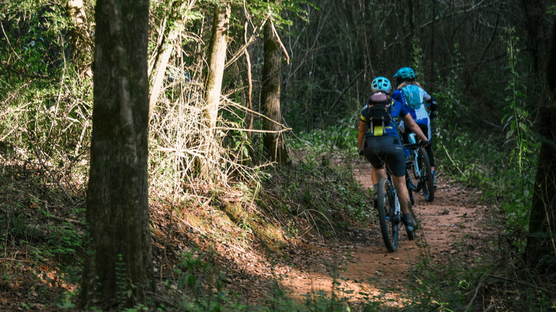 Mountain bikers in woods of Tennessee