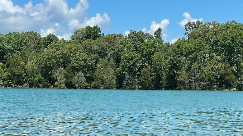 Trees around a lake at Chuck Swan State Forest in Tennessee