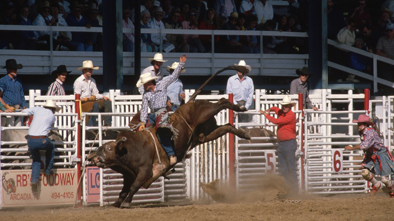 Arcadia rodeo in Central Florida