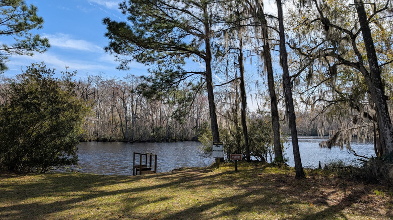 Pond surrounded by trees in Dunns Creek State Park, Florida